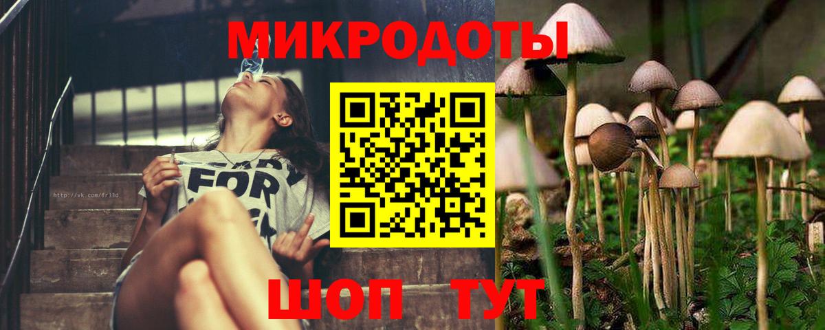 Псилоцибиновые грибы Psilocybe  Вход с VPN  как найти закладки  Галлюциногенные грибы Magic Shrooms  Кыштым 